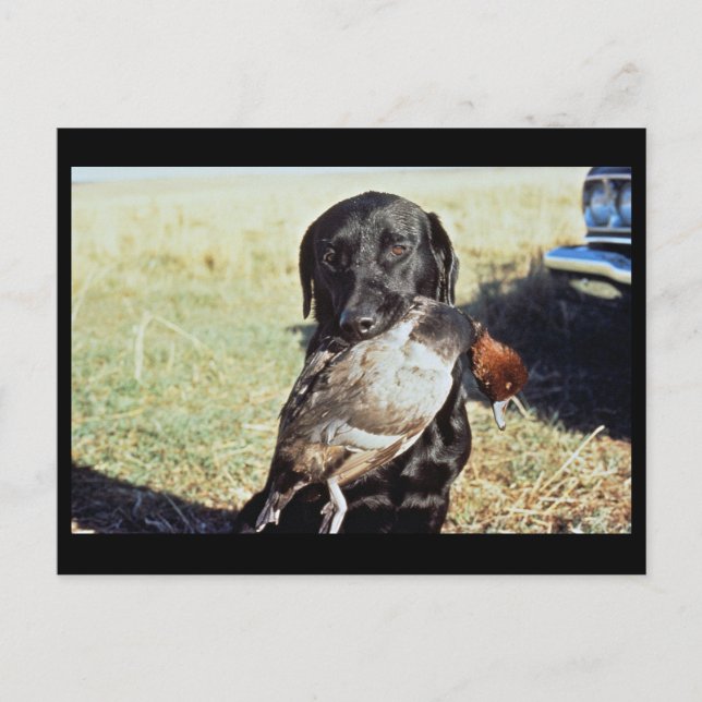 Erfolgreiche Jagd Postkarte (Vorderseite)