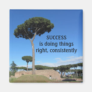 Erfolgsmotivation Magnet