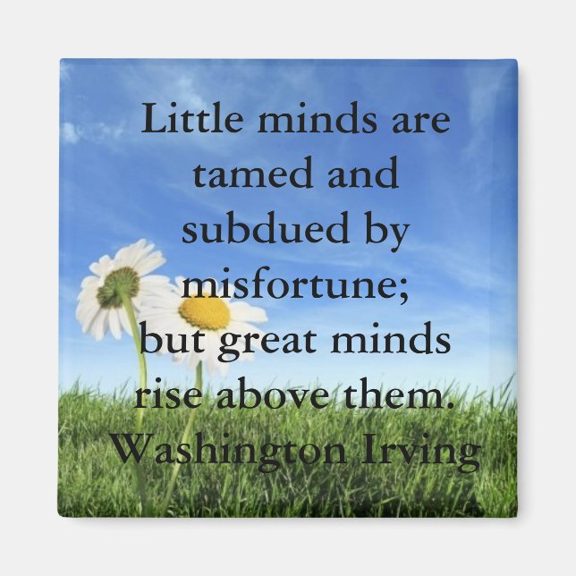 Erfolgsquote Magnet (Vorne)