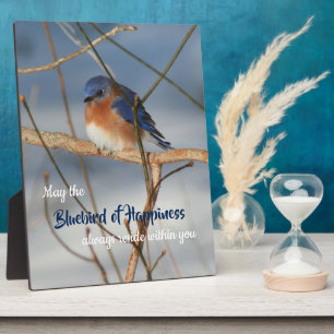 Erfolgsvogel, inspirierend fotoplatte