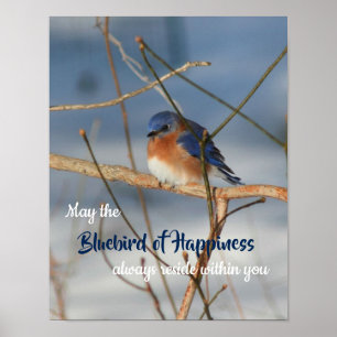 Erfolgsvogel, inspirierend poster
