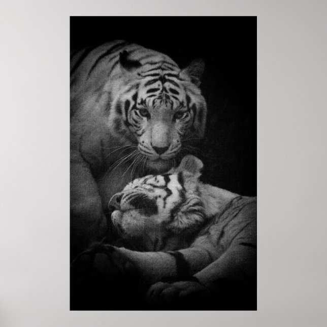 Erforderliches Plakat (Vorne)