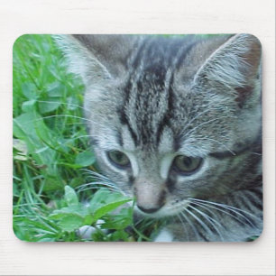 Erforschen Sie zuerst Mousepad
