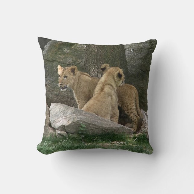 Erforschenkissen Löwe-CUBs Kissen (Vorderseite)