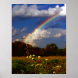 Erfrischendes Promise-Poster Poster