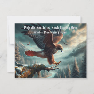 Erhabener Rotschwanzbussard im Flug Postkarte