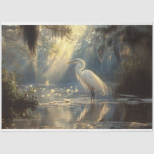 Erhabener Silberreiher in einem friedlichen, sonne Seidenpapier