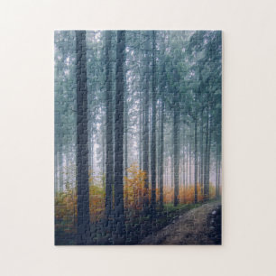 Erhabener Waldweg