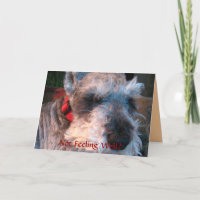 Erhalten Sie Brunnen bald, hoffnungsvoll