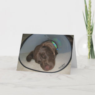 Erhalten Sie gut bald Karte