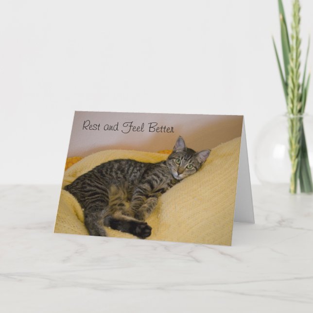 Erhalten Sie wohle Katzen-Karte 2 Karte (Vorderseite)