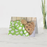 Erhalten Sie wohlen bald Teddybären