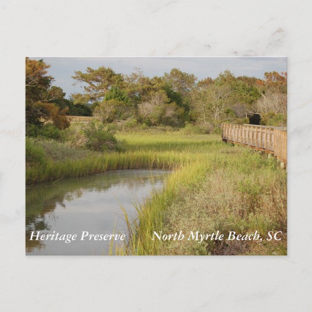 Erhaltung des kulturellen Erbes - North Myrtle Bea Postkarte (Vorderseite)