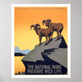 Erhaltung des Wilden Lebens 1939 WPA Poster