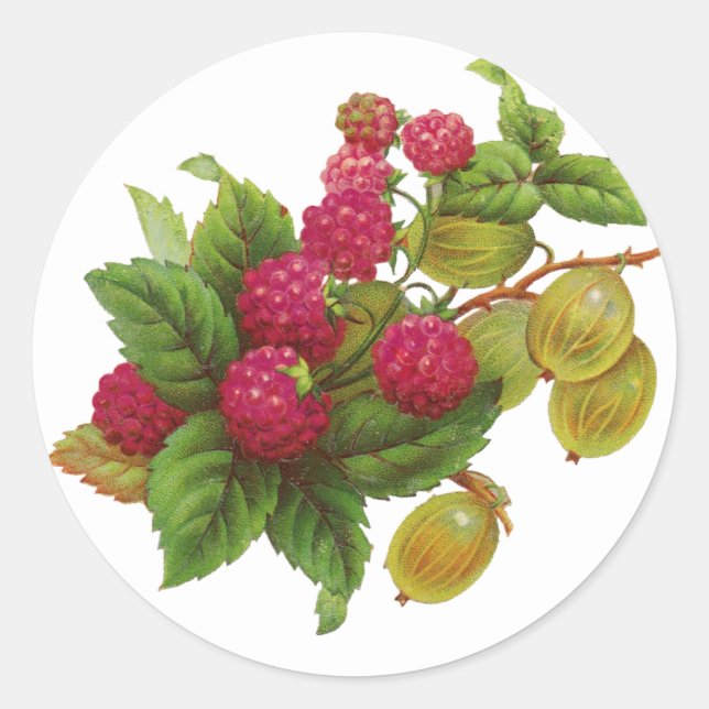 ERHALTUNG VON ROTEN OBSTEN / RASPBERRIEN RUNDER AUFKLEBER (Vorderseite)