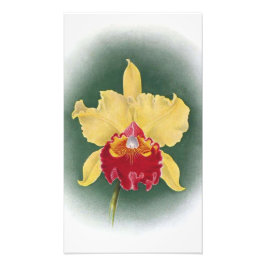 Erhöhen Sie Ihren Platz: Goldene Königin Orchid Cl Fotodruck