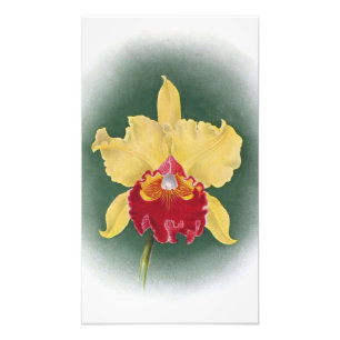 Erhöhen Sie Ihren Platz: Goldene Königin Orchid Cl Fotodruck