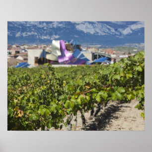 Erhöhte Stadtsicht und Hotel Marques de Riscal Poster
