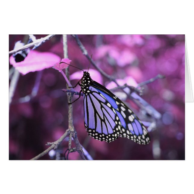 Erholung (Vorderseite (Horizontal))