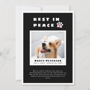 Erholung des Herzdrucks in Peace Black Pet Loss Fo Ankündigung