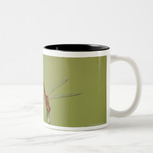 Erholungen einer Libelle kurzzeitig auf einem Zweifarbige Tasse