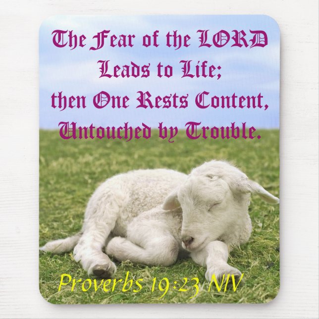 Erholungs-Inhalt. II Mousepad (Vorne)