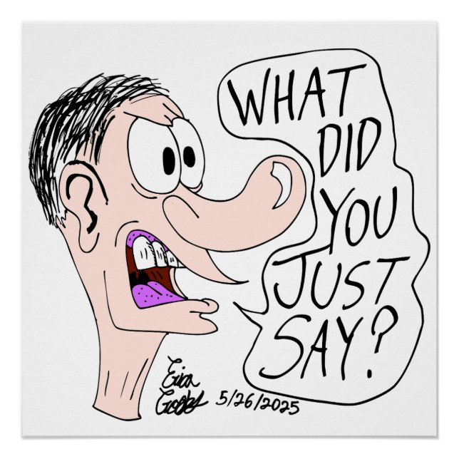 Erica Crooks Comics - What did you just say ? Poster (Vorderseite)