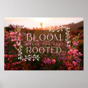 Erica Range Poster - Bloom wo Sie gewurzelt sind