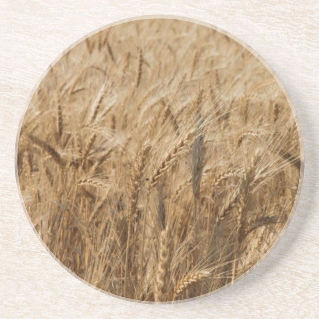 Erick, Oklahoma-Weg 66 Untersetzer (Vorne)