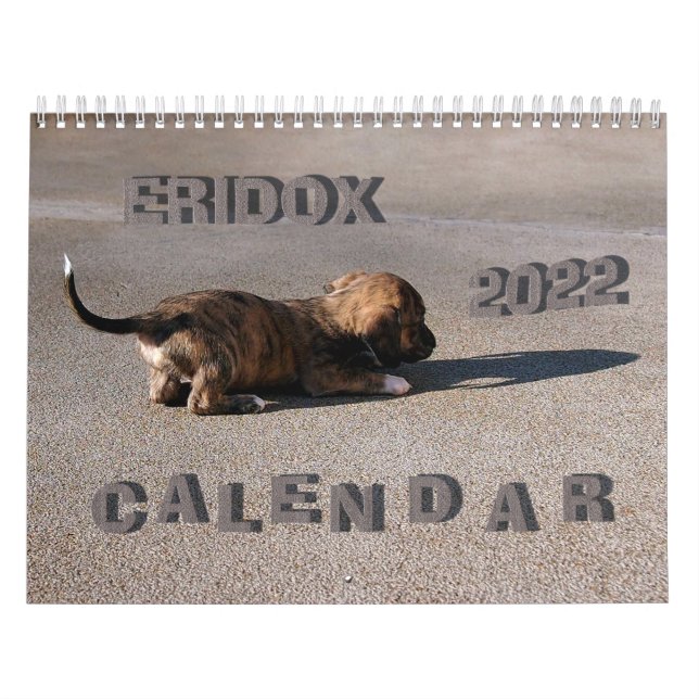Eridox-Dackeln 2022-Kalender Kalender (Titelbild)