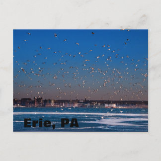 Erie, PA skyline Postkarte