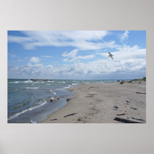 Erie-See von der Presque Isle Poster