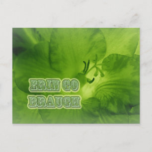 Erin Go Braugh Green Freesia Items Postkarte