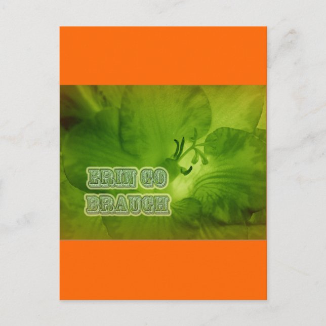 Erin Go Braugh Green Freesia Items Postkarte (Vorderseite)