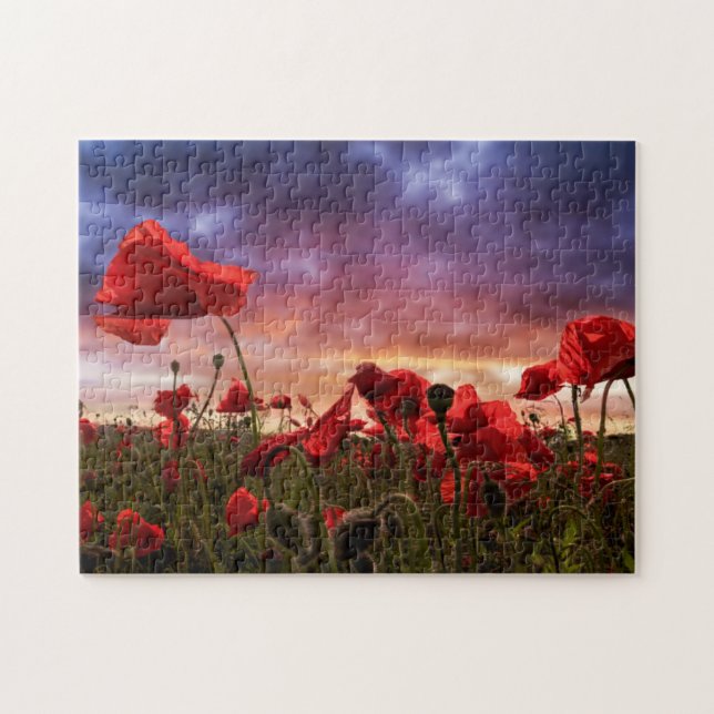 Erinnern an | Feld der Mohnblumen (Horizontal)
