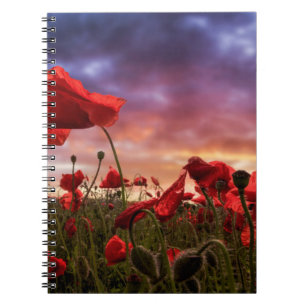 Erinnern an Feld der Mohnblumen Notizblock