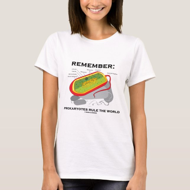 Erinnern Sie sich: Prokaryotes ordnen die Welt an T-Shirt (Vorderseite)