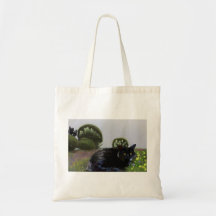 Erinnerung an Ashoka