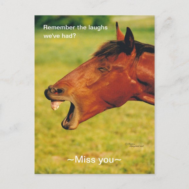 Erinnerung an das Laughs Pferd Postcard Postkarte (Vorderseite)