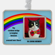 Erinnerung an die Hauskatze Weihnachten Regenbogen