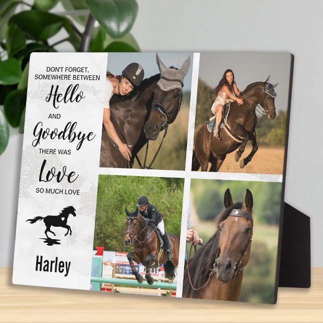 Erinnerung an die Pferdekollektion Fotoplatte (Von Creator hochgeladen)