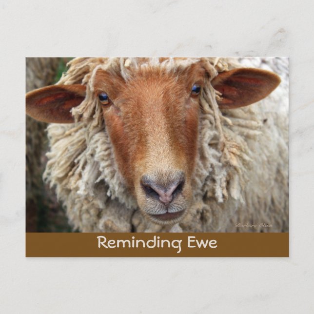 Erinnerung an Ewe: Erinnerung-Karten Ankündigungspostkarte (Vorderseite)