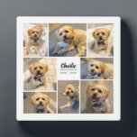 Erinnerung an Haustiere 8 Foto Personalisiert Fotoplatte<br><div class="desc">Wenn wir unsere Haustiere sehr schätzen,  kann es so schwer sein,  einen zu verlieren! Mit dieser modernen Foto-Plakette,  die 8 Fotovorlagen sowie Vorlagen für den Namen und die Lebensjahre des Haustieres enthält,  können Sie die Seele Ihres Liebsten entfalten.</div>