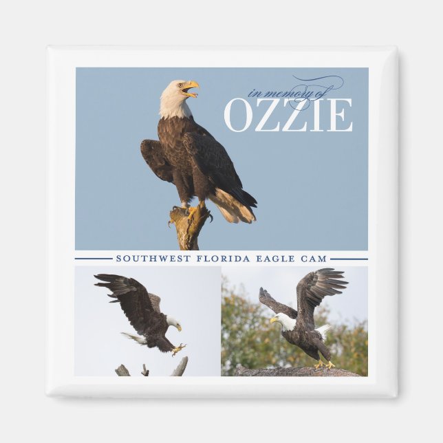 Erinnerung an Ozzie Magnet (Vorne)