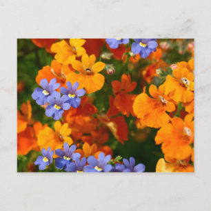 Erinnerung des Frühlings Postkarte