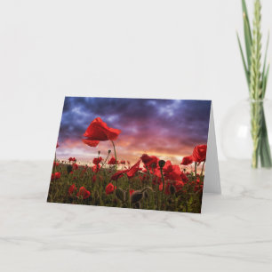 Erinnerung Poppies-Feld Karte