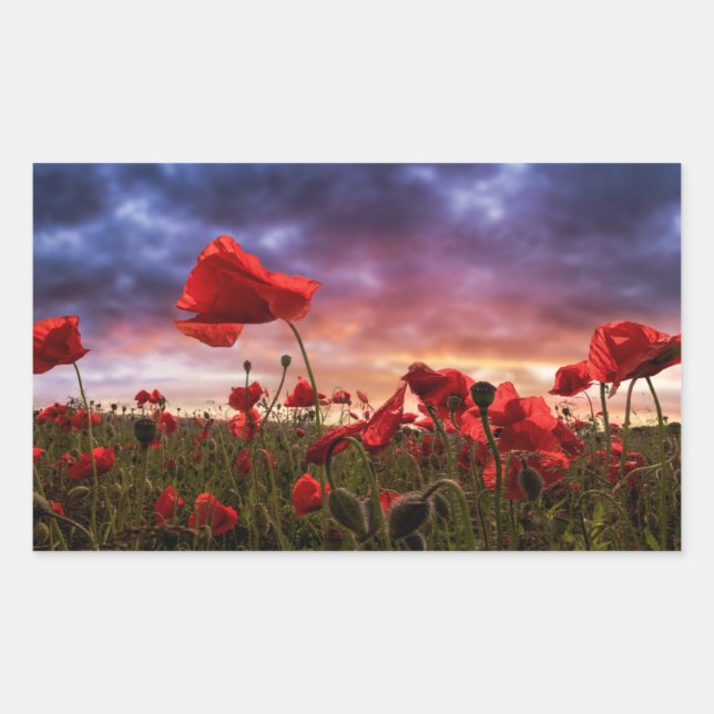 Erinnerung | Poppies-Feld Rechteckiger Aufkleber (Vorderseite)