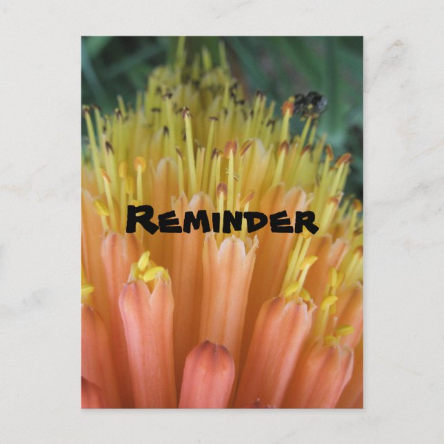 Erinnerung Postkarte (Vorderseite)