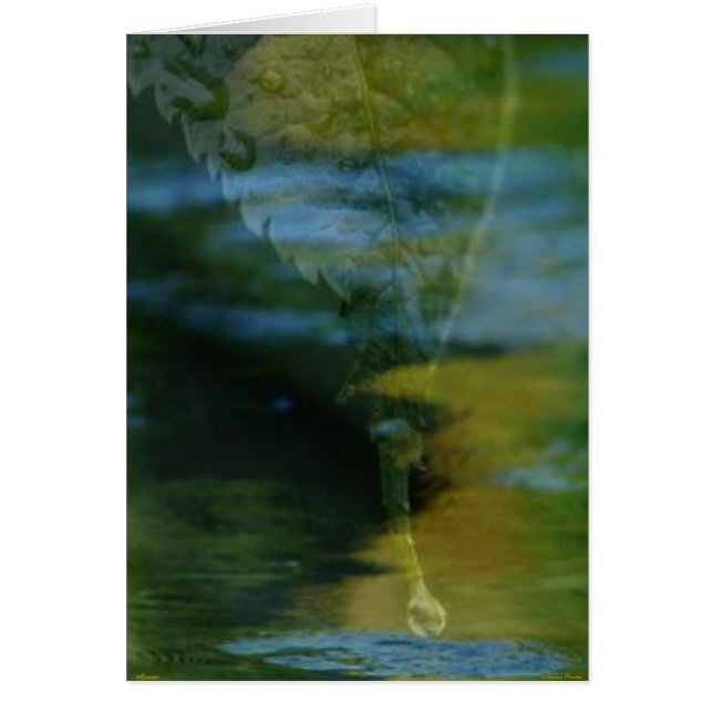 Erinnerungen (Vorne)