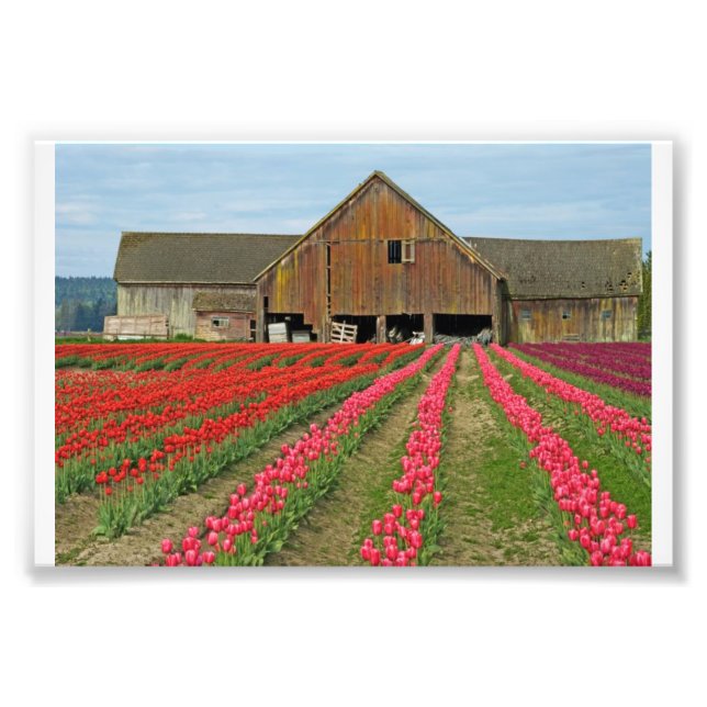 Erinnerungen des Frühlings. Fotodruck (Vorne)